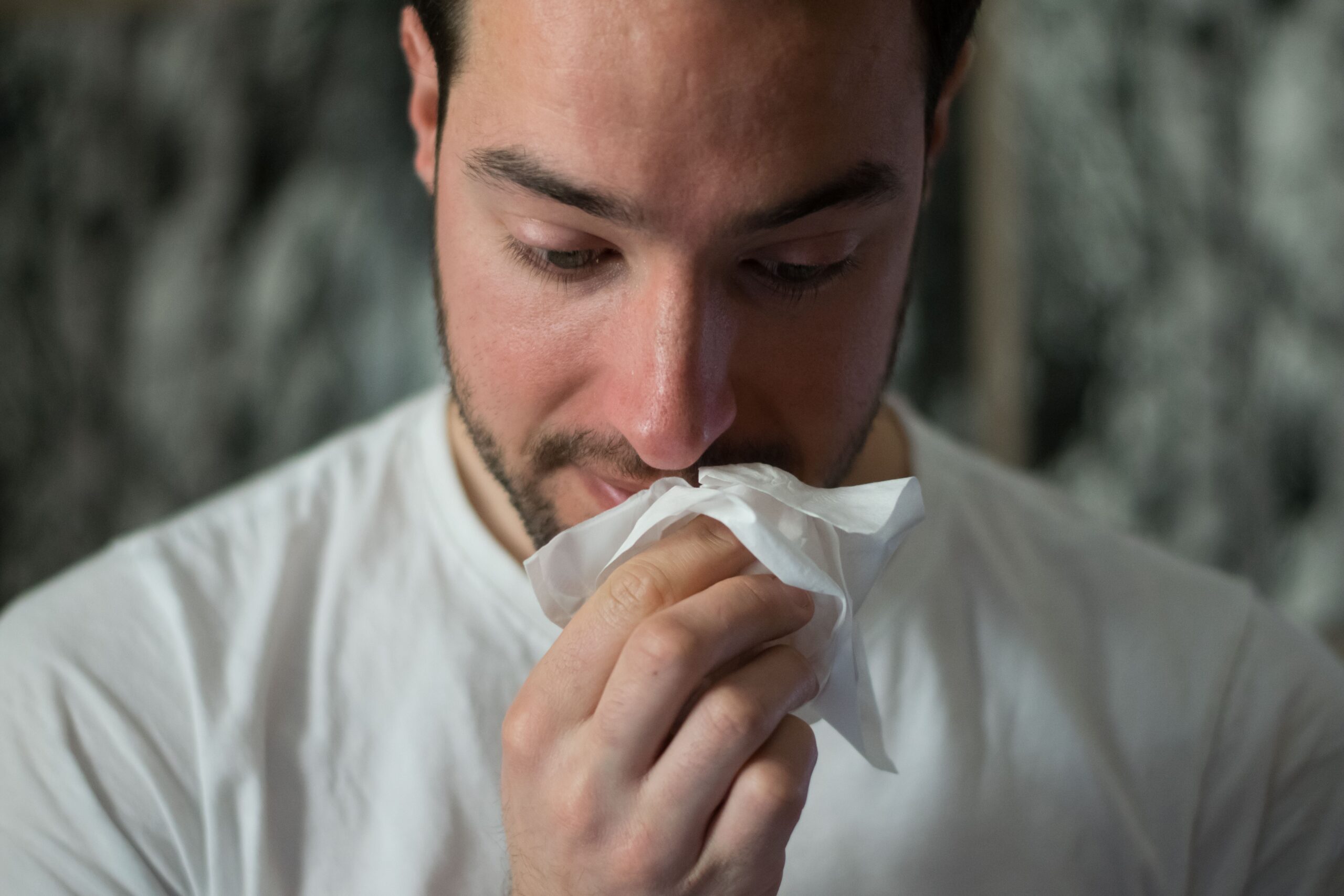 How Air Purifiers Help Relieve Allergies