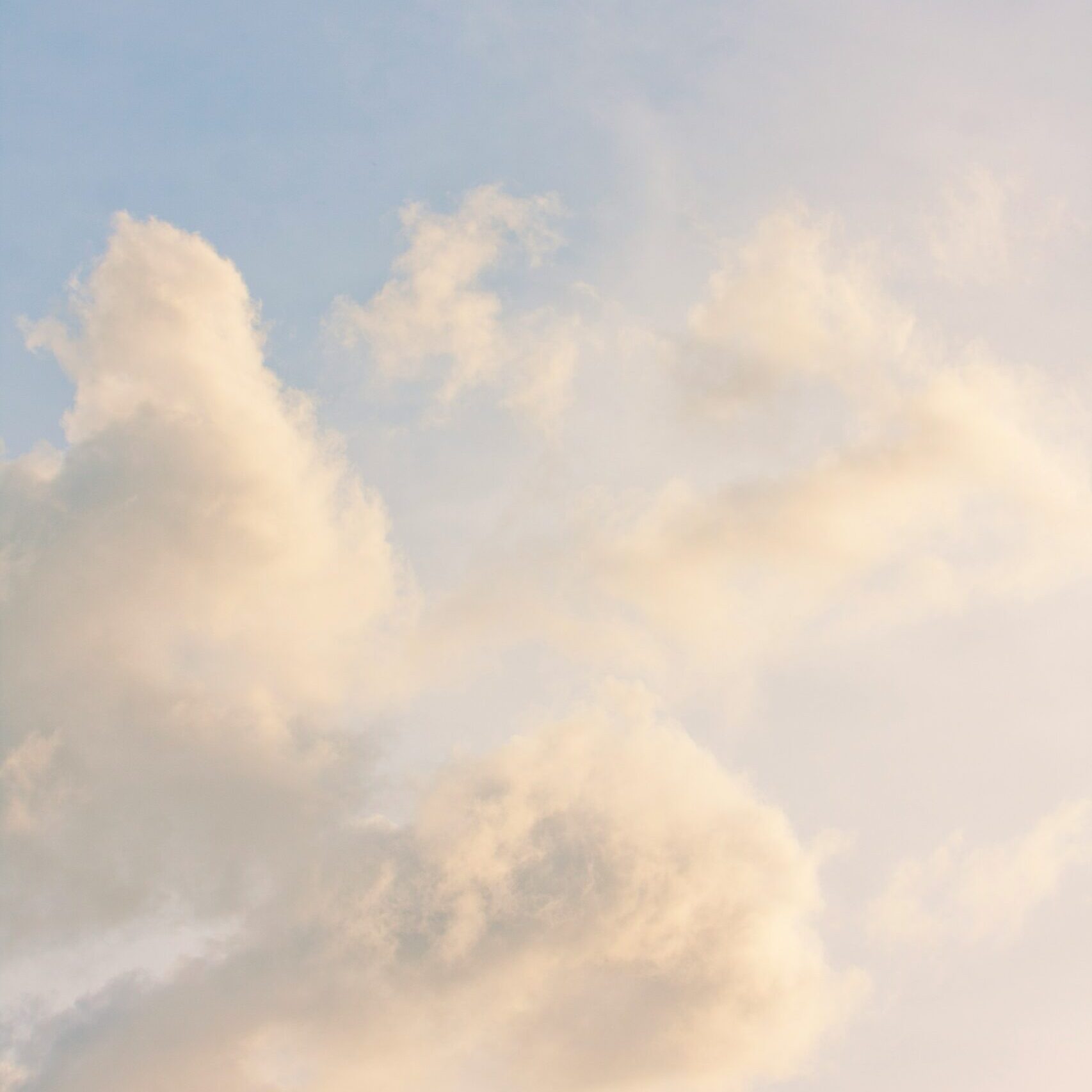 Are UV Air Purifiers Worth It? Understanding Their Limitations